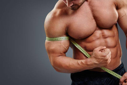 Understanding insulin in bodybuilding